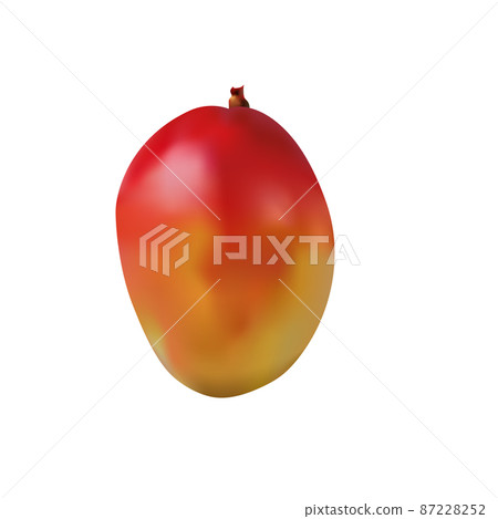 mango gradient mesh vector element clip art mango gradient mesh vector element clip art 87228252
