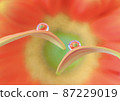 A drop 87229019