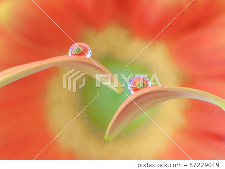 A drop A drop 87229019