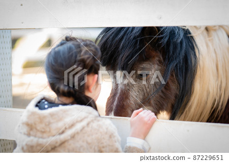 Kids playing with ponies 87229651