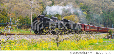 埼玉 / 秩父鐵道 SL Paleo Express 埼玉 / 秩父鐵道 SL Paleo Express 87229700