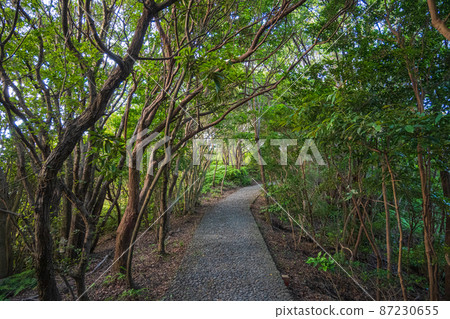 《三重縣志摩市》橫山展望台長廊 87230655