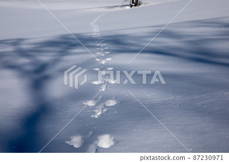 Snow mountain 87230971