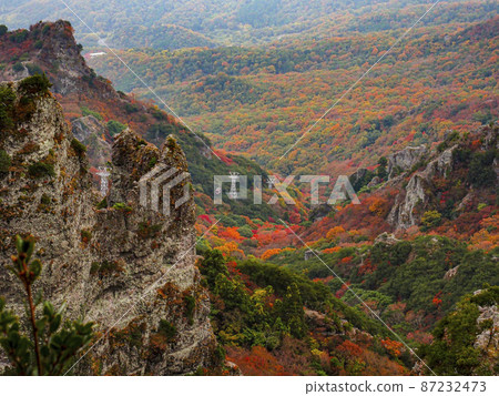 [Kagawa] Shodoshima Kankakei Ropeway Autumn Leaves 87232473
