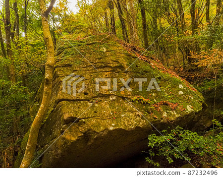[Kagawa] Shodoshima Kankakei Ropeway Autumn Leaves 87232496