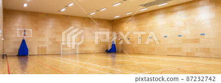 Interior of empty modern basketball or soccer indoor sport court 87232742