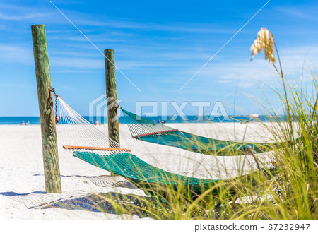 Hammock on a beach Hammock on a beach 87232947