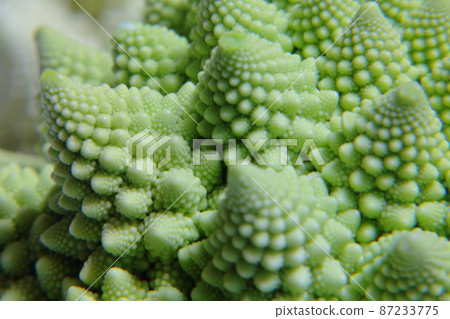 Romanesco 1 的特寫鏡頭的神秘世界 87233775