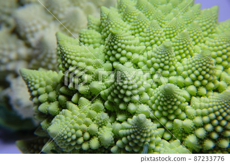 Romanesco 2特寫的神秘世界 87233776