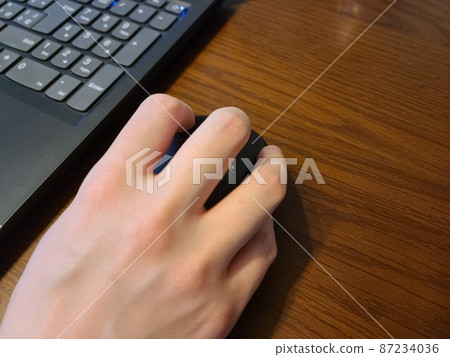 PC mouse PC mouse 87234036