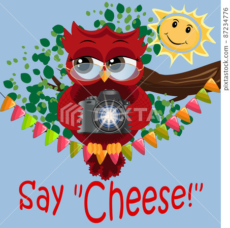 Owl-photographer in glasses sits on a garland and makes a report, photos. Inscription Say cheese Owl-photographer in glasses sits on a garland and makes a report, photos. Inscription Say cheese 87234776