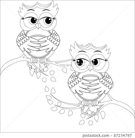 Coloring book for adult and older children. Coloring page with cute owl. Outline drawing Coloring book for adult and older children. Coloring page with cute owl. Outline drawing 87234797