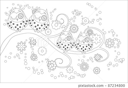 Coloring book for adult and older children. Coloring page with cute owl and flowers. Outline drawing 87234800