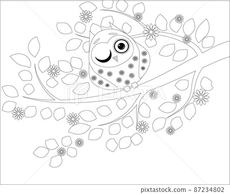 Coloring book for adult and older children. Coloring page with cute owl and flowers. Outline drawing Coloring book for adult and older children. Coloring page with cute owl and flowers. Outline drawing 87234802