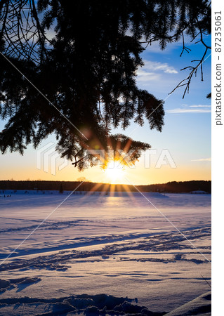 The rays of the sun break through a branch of a coniferous tree during a winter sunset in a clear sky. Below - a snow-covered river with blue shadows on the paths trodden by people. The rays of the sun break through a branch of a coniferous tree during a winter sunset in a clear sky. Below - a snow-covered river with blue shadows on the paths trodden by people. 87235061