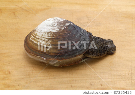 This mill shell 87235435