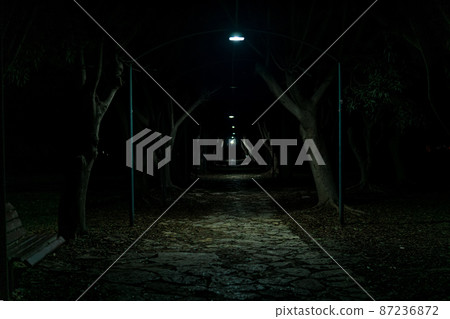 dark alley in the park, barely lit by the light of rare lanterns 87236872