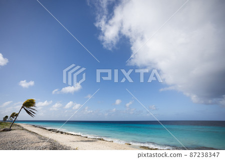 Tropical beach with palm trees. Summer holidays concept. Tropical beach with palm trees. Summer holidays concept. 87238347