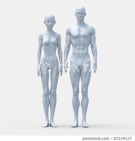 男性和女性內衣的差異 體型比較 perming3DCG 插圖素材 男性和女性內衣的差異 體型比較 perming3DCG 插圖素材 87239127