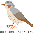 A bulbul facing sideways 87239139