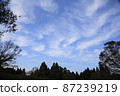 Sky  87239219
