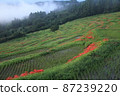 Rice terraces 87239220