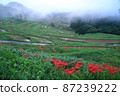 Rice terraces 87239222