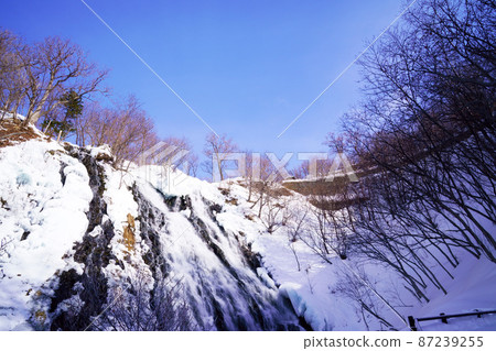 北海道隆冬的忍子新野瀑布 87239255