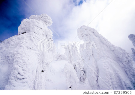 Moriyoshiyama Rime, Rime in the midwinter, Akita Prefecture 87239505