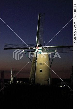 Illuminated evening and windmill leaf in the cosmos field [Sakura Furusato Square, Sakura City, Chiba Prefecture, at Sakura Cosmos Festa] 87240111