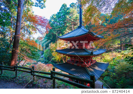 Three-storied pagoda and autumn leaves at Gansenji Temple in Kyoto Three-storied pagoda and autumn leaves at Gansenji Temple in Kyoto 87240414