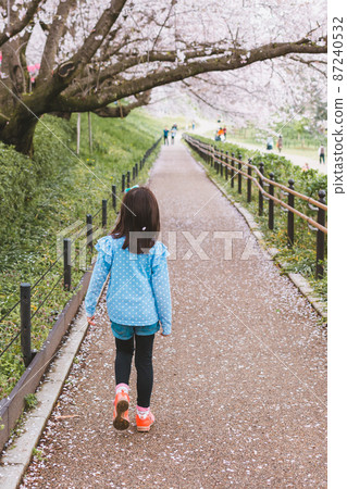 elementary student, primary school child, schooler 87240532