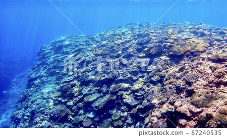 美麗的海景,阿卡島的珊瑚礁和海床上的沙子 美麗的海景,阿卡島的珊瑚礁和海床上的沙子 87240535