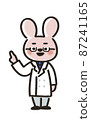 Cute rabbit doctor pointing 87241165