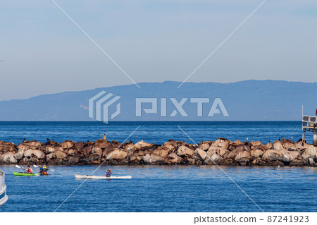 People playing kayak in 17 mile coastline 87241923