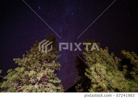 Night view of the tree landscape and milky way of Yosemite National Park 87241983
