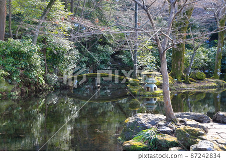 Walking around Gifu Park in winter ・ 137 (near Gifu Park, Gifu City, Gifu Prefecture) Walking around Gifu Park in winter ・ 137 (near Gifu Park, Gifu City, Gifu Prefecture) 87242834