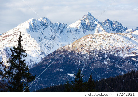 Coniferous forest and snowy mountains of Simplon Pass 87242921