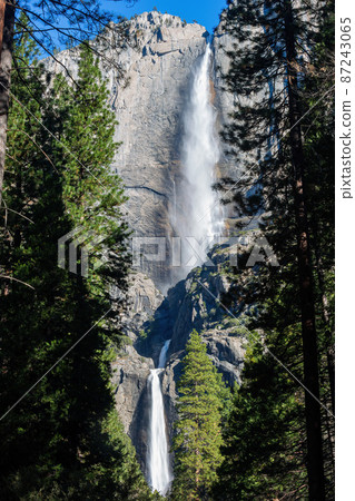 Sunny view of the upper and lower Yosemite Falls of Yosemite National Park 87243065