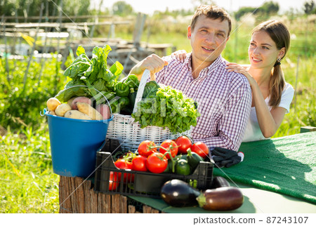 Young family couple with harvest of vegetables in garden outdoor Young family couple with harvest of vegetables in garden outdoor 87243107