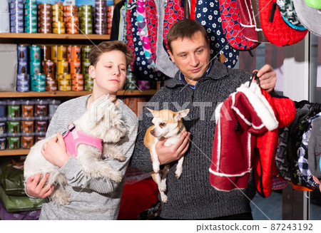 Customers with dogs choosing clothes for dogs in pet store Customers with dogs choosing clothes for dogs in pet store 87243192