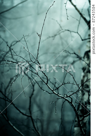 Abstract dark scary background. The forest is mysterious with strange moonlight and night ghostly branches of trees in the fog causing a feeling of fear. Horror concept Abstract dark scary background. The forest is mysterious with strange moonlight and night ghostly branches of trees in the fog causing a feeling of fear. Horror concept 87243584