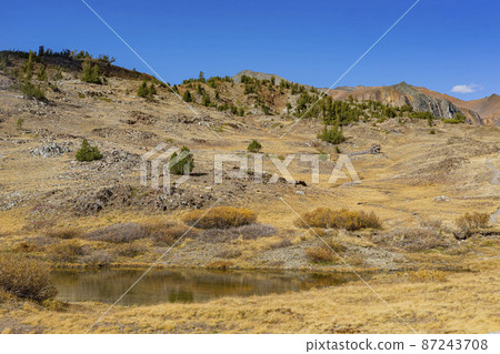 Sunny view of the autumn landscape of Saddlebag Lake 87243708