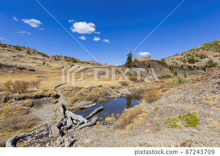 Sunny view of the autumn landscape of Saddlebag Lake 87243709