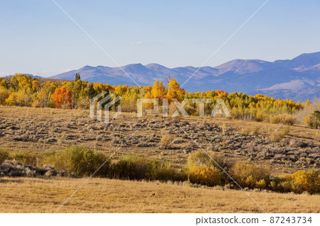 Sunny view of the fall color around Conway Summit 87243734