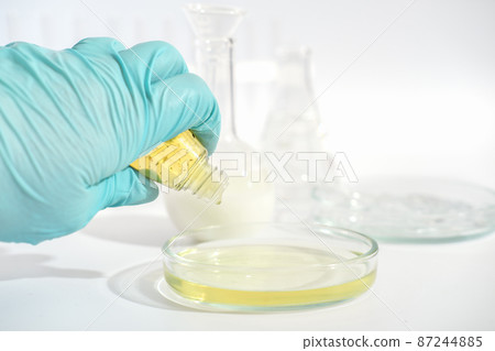 laboratory testing cosmetic product, cruelty free, not tested on animals beauty and skin care fluid. hand wearing medical glove doing test with petri dish and medium. laboratory testing cosmetic product, cruelty free, not tested on animals beauty and skin care fluid. hand wearing medical glove doing test with petri dish and medium. 87244885