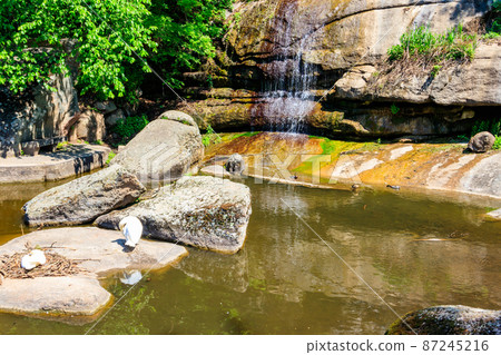 Beautiful waterfall in Sofiyivka park in Uman, Ukraine Beautiful waterfall in Sofiyivka park in Uman, Ukraine 87245216