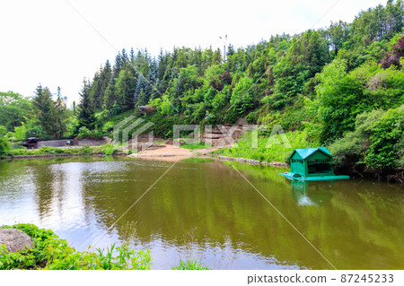 View of pond in Sofiyivka park in Uman, Ukraine 87245233