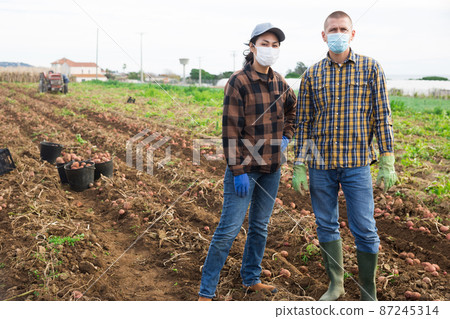 Man and woman farmers in masks standing on potato field 87245314