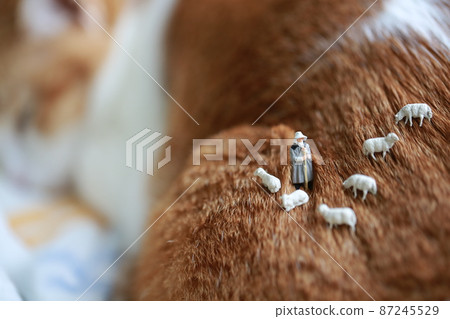 the shepherd and his flock of sheep on the meadow of cat fur the shepherd and his flock of sheep on the meadow of cat fur 87245529
